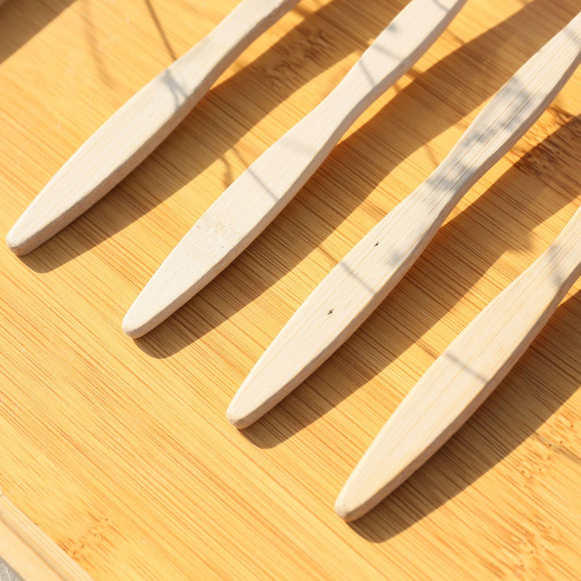 Organic Bamboo Toothbrush (10pc)