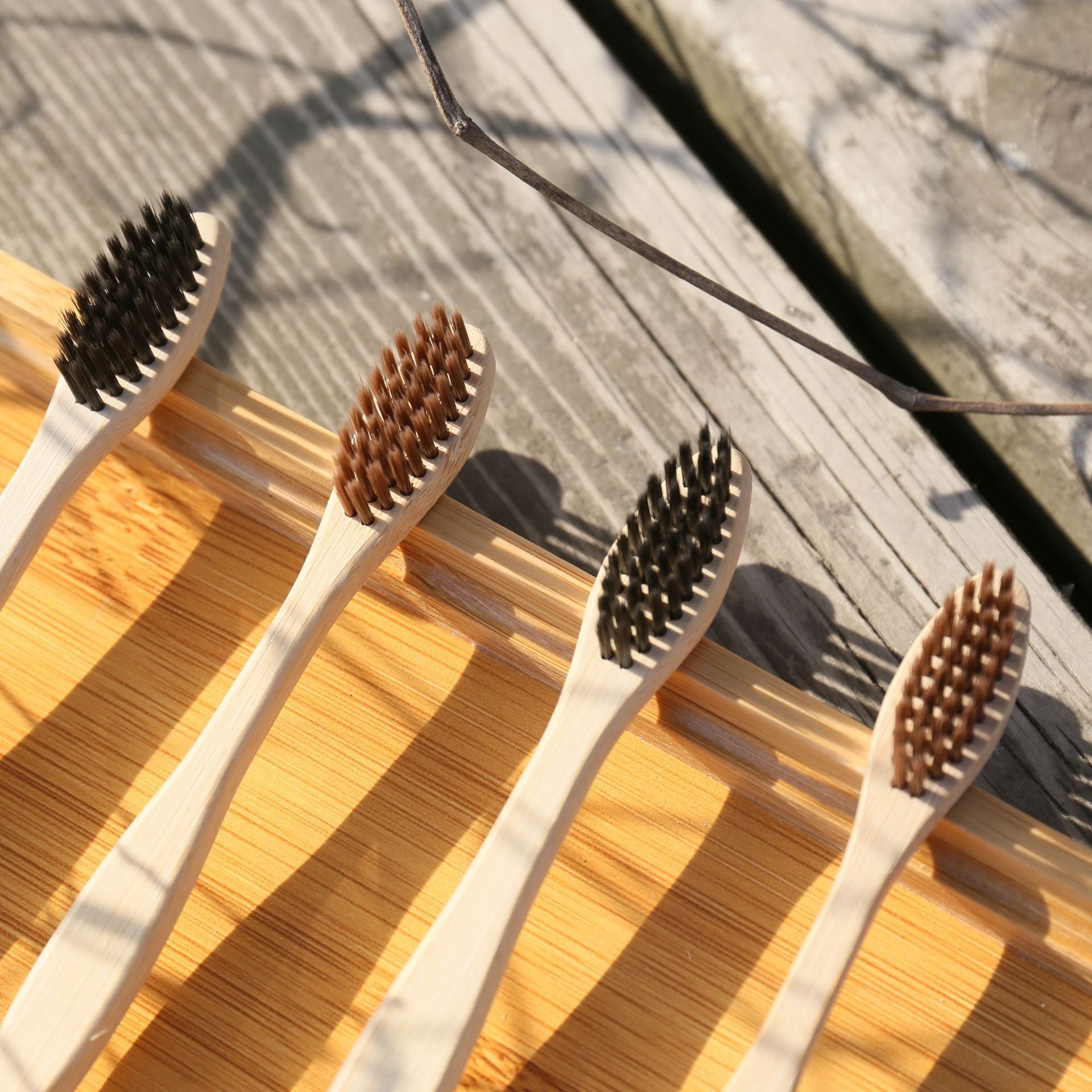 Organic Bamboo Toothbrush (10pc)